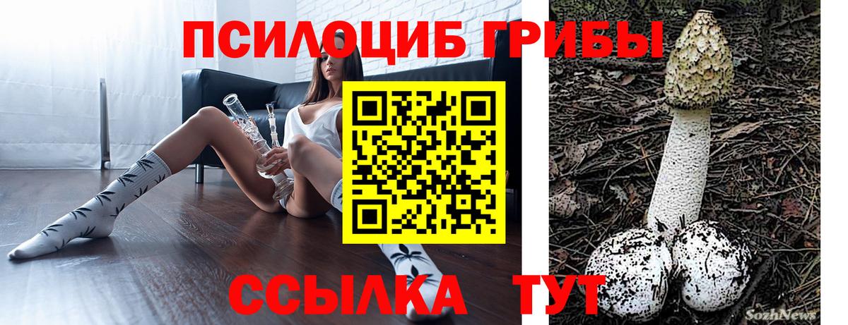 Псилоцибиновые грибы GOLDEN TEACHER Королёв