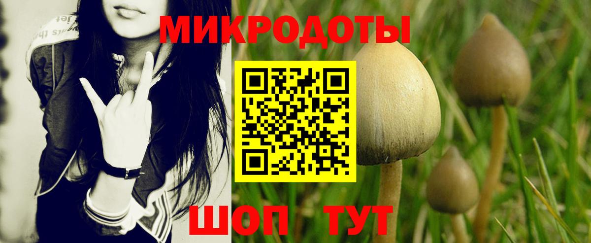 Псилоцибиновые грибы Psilocybe  хочу наркоту  Королёв  Вход с VPN  Галлюциногенные грибы Psilocybine cubensis 
