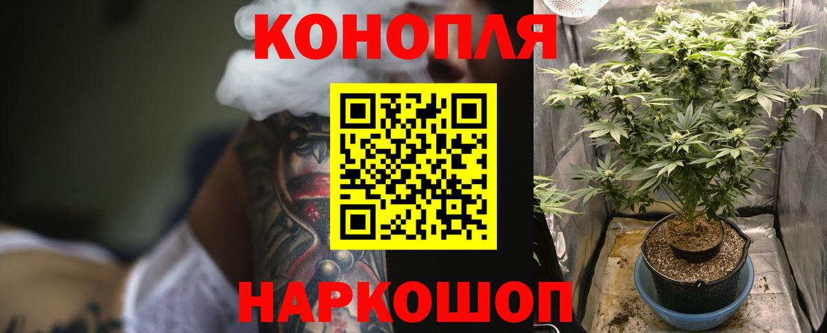 Бошки Шишки индика  Вход с VPN  Каннабис SATIVA & INDICA  Бошки марихуана марихуана  Шишки марихуана марихуана  Королёв 
